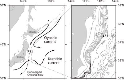 Neocalanus cristatus (Copepoda) From a Deep Sediment-Trap: Abundance and Implications for Ecological and Biogeochemical Studies